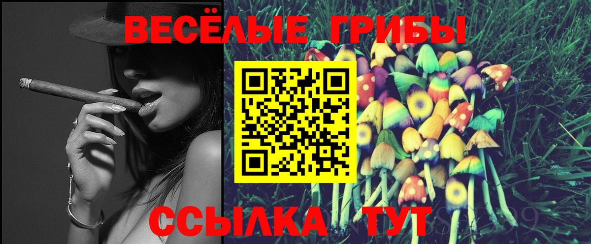 Асино  Галлюциногенные грибы ЛСД  Вход с VPN 