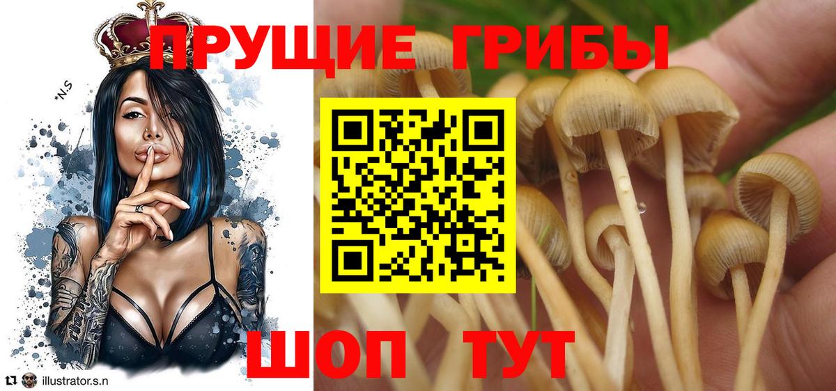 Галлюциногенные грибы MAGIC MUSHROOMS Асино
